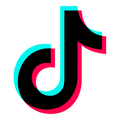 USA TikTok 500 Followers